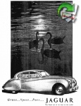 Jaguar 1954 .jpg